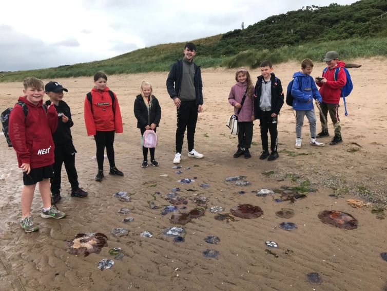 2046c3b6-a852-4639-8376-f7b6d0277b38