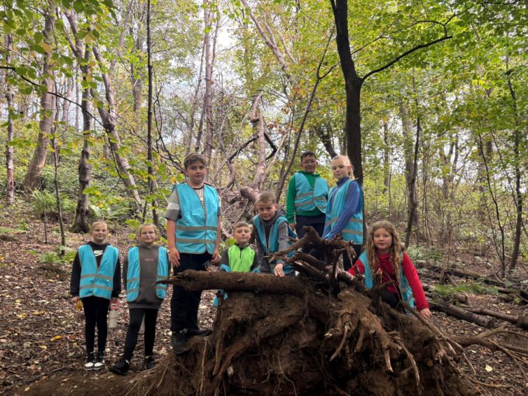 cbf15667-270a-4687-8d16-b6c5ad70a460