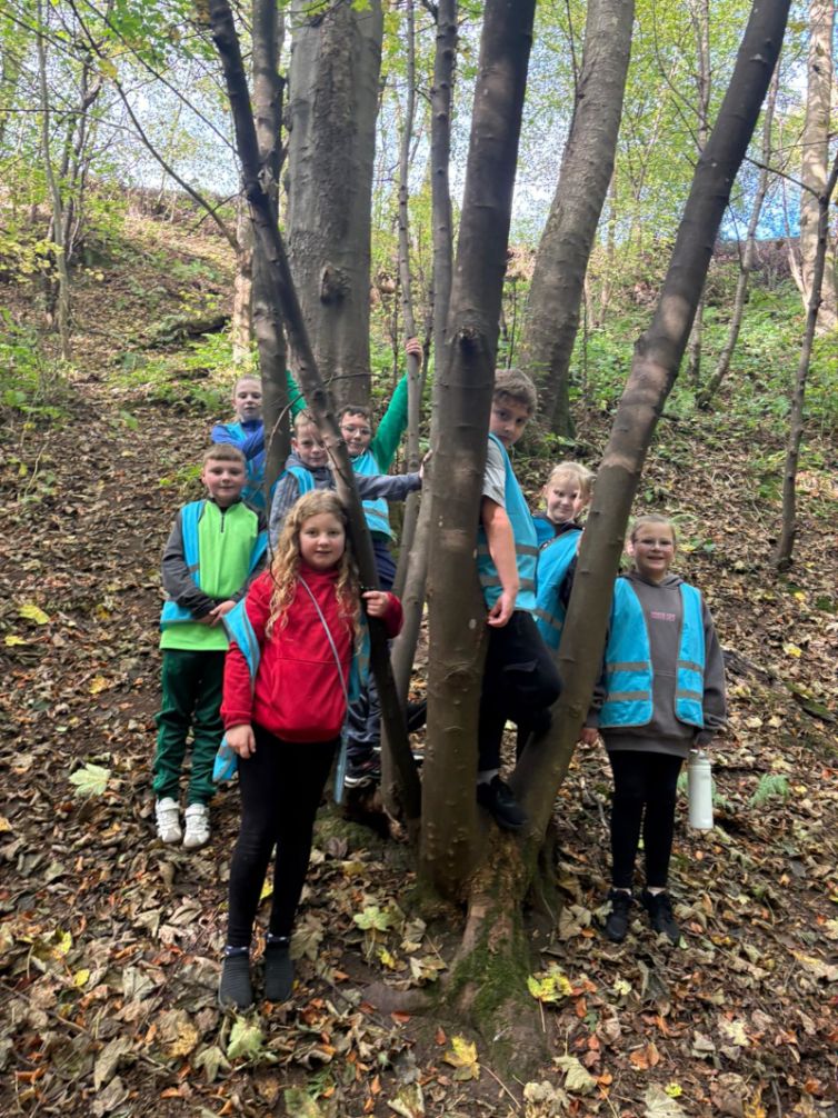 d8472fb8-63a0-4900-802d-f607ad7d76a4